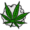 weed leaf 75